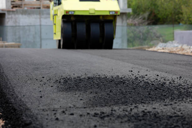 Best Custom Driveway Pavers  in Trail Creek, IN